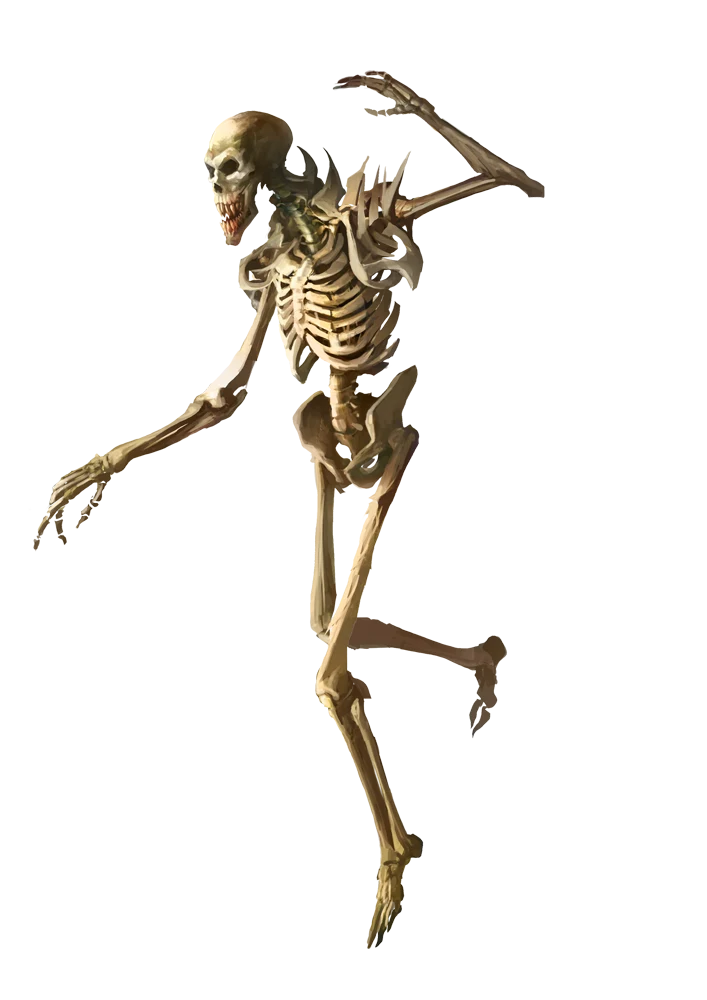 Reacher image